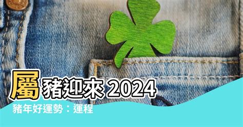 2024豬年運程1971|2024屬豬幾歲、2024屬豬運勢、屬豬幸運色、財位、禁忌